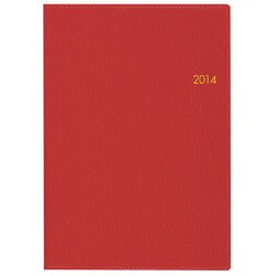2262 B6カジュアル1(レッド) [ムックその他]