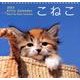 カレンダーこねこ 2014 [カレンダー]