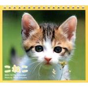 こねこ 2014[ミニカレンダー] [カレンダー]
