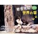 世界の猫 2014[カレンダー] [カレンダー]