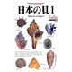日本の貝〈1〉巻貝(フィールドベスト図鑑〈18〉) [図鑑]