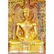 ヴィパッサー実践&慈悲の瞑想[DVD] [単行本]