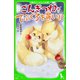 ごんぎつね・てぶくろを買いに(角川つばさ文庫) [新書]
