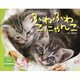 ふわふわこにゃんこ 2014[カレンダー] [カレンダー]