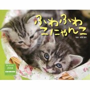 ふわふわこにゃんこ 2014[カレンダー] [カレンダー]
