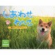 しあわせわんこ毎日がハッピーだワン! 2014[カレンダー] [カレンダー]