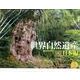 世界自然遺産 日本編 2014[カレンダー]（Yama-Kei Calendar） [単行本]