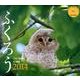 ふくろう 2014[カレンダー]（Yama-Kei Calendar） [単行本]