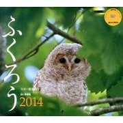 ふくろう 2014[カレンダー]（Yama-Kei Calendar） [単行本]