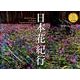 日本花紀行 2014[カレンダー]（Yama-Kei Calendar） [単行本]