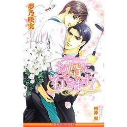 お婿に行きます!(ビーボーイノベルズ) [新書]