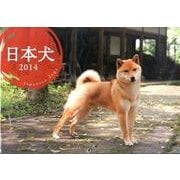 日本犬CALENDAR 2014 [カレンダー]