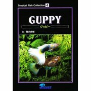 グッピー（Tropical Fish Collection 4） [図鑑]