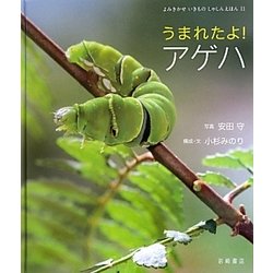 うまれたよ!アゲハ(よみきかせいきものしゃしんえほん〈11〉) [絵本]