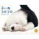 子いぬコロコロ 2014[カレンダー]（Yama-Kei Calendar） [単行本]