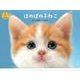 ほのぼの子ねこ 2014[カレンダー]（Yama-Kei Calendar） [単行本]