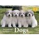 Dogs 2014[カレンダー]（Yama-Kei Calendar） [単行本]