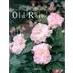 オールドローズ好きのOld Roses [単行本]