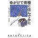 命がけで南極に住んでみた [単行本]