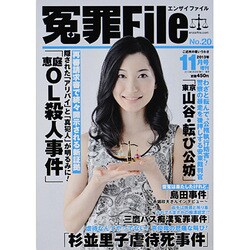 冤罪File (ファイル) 2013年 11月号 [雑誌]