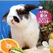 うさぎと暮らすCALENDAR 2014 [カレンダー]