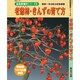 老爺柿・きんずの育て方－晩秋～冬を彩る実物樹種（KBムック 盆栽樹種別シリーズ 8） [ムックその他]