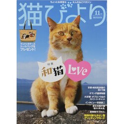 猫びより 2013年 11月号 [雑誌]