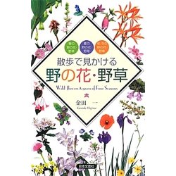 散歩で見かける野の花・野草 [単行本]