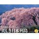 竹内敏信セレクション美しき日本列島 2014[カレンダー]（Yama-Kei Calendar） [単行本]
