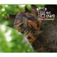 まいにち猫びよりCalendar 2014 [カレンダー]