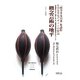 概念芸術の地平―デザイン本質論 『哲学する日本』を読む&河北秀也デザインの解読 2011・3・11以後の芸術哲学のエチュード [単行本]