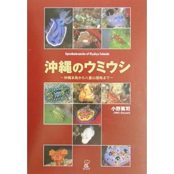 沖縄のウミウシ―沖縄本島から八重山諸島まで [図鑑]