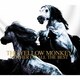 THE YELLOW MONKEY／マザー・オブ・オール・ザ・ベスト