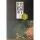 皆川博子作品精華 迷宮ミステリー編 [単行本]