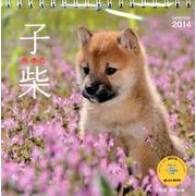 子柴 2014[カレンダー]（Yama-Kei Calendar） [単行本]