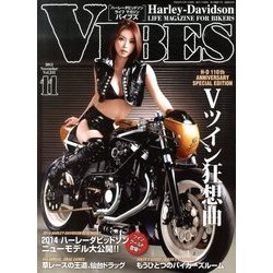VIBES (バイブス) 2013年 11月号 [雑誌]