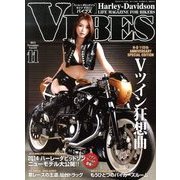 VIBES (バイブス) 2013年 11月号 [雑誌]