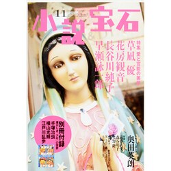小説宝石 2013年 11月号 [雑誌]