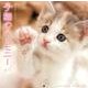 子猫のハーモニーカレンダー 2014 [カレンダー]