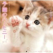子猫のハーモニーカレンダー 2014 [カレンダー]