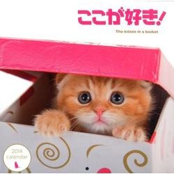 ここが好き!calendar 2014－The kitten in a basket [カレンダー]