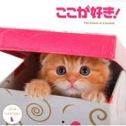 ここが好き!calendar 2014－The kitten in a basket [カレンダー]