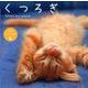 くつろぎcalendar 2014－Kittens are relaxing [カレンダー]