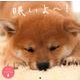 眠いよ～!calendar 2014 [カレンダー]