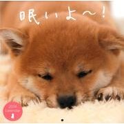 眠いよ～!calendar 2014 [カレンダー]