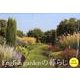 English gardenの暮らし Calendar 20 [カレンダー]
