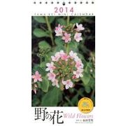 野の花 2014[カレンダー] [単行本]