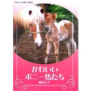 かわいいポニー馬たち(新風舎文庫―POST CARD BOOK) [文庫]