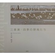 三番瀬・四季の野鳥たち [単行本]