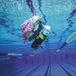 WHITE ASH／Ciao, Fake Kings